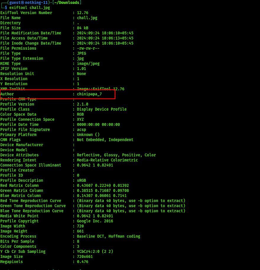metadata of the imaage chall.jph